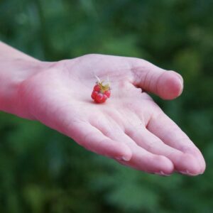 タンパク質と亜鉛は薄毛対策にどのように役立つのか？