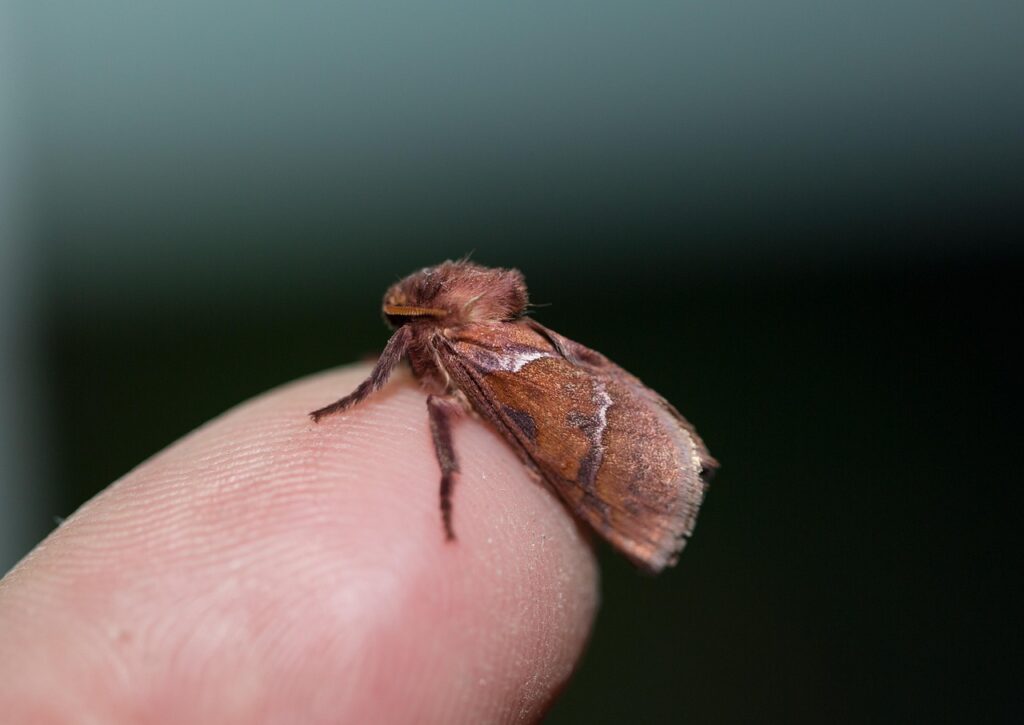 20代の夜更かしが引き起こす抜け毛の原因とは？