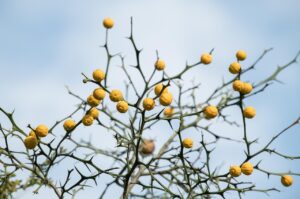 エアコンによる頭皮の乾燥を防ぐための対策は？