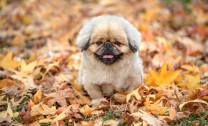 トリートメントで頭皮のべたつきを解消する方法は？