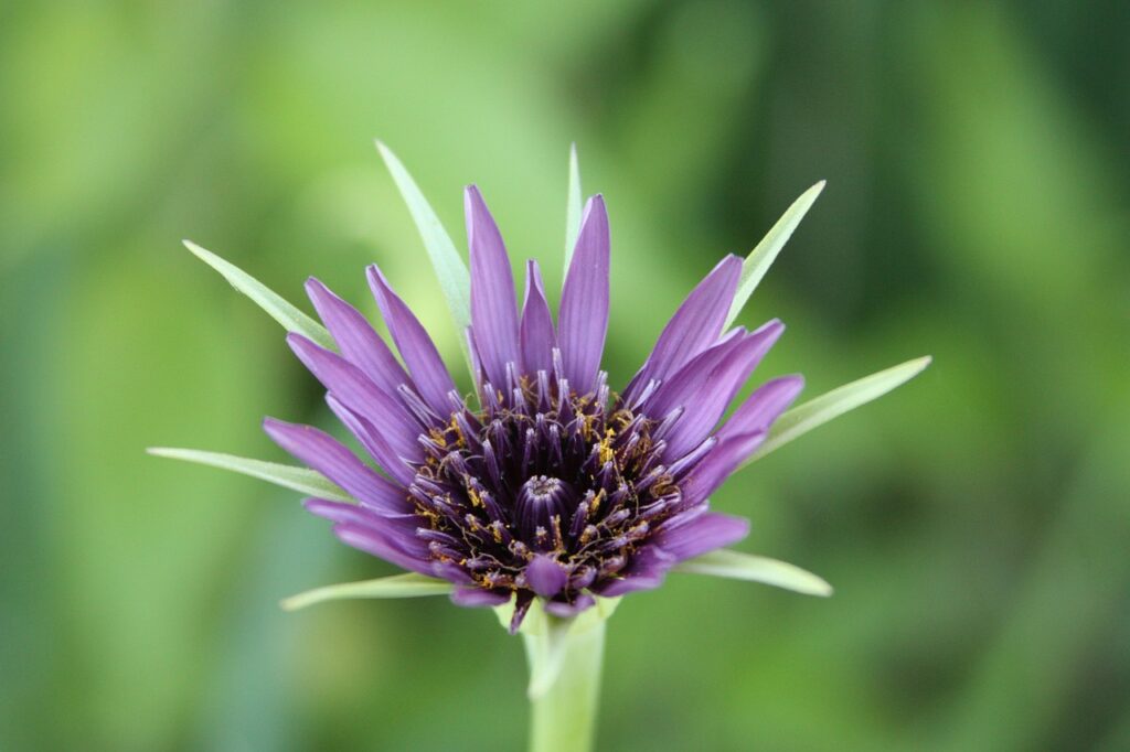 牡蠣を食べ過ぎると髪にどんな影響があるの？