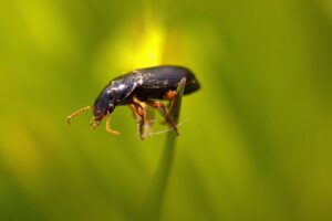 育毛シャンプーの効果が実感できるのはいつ？