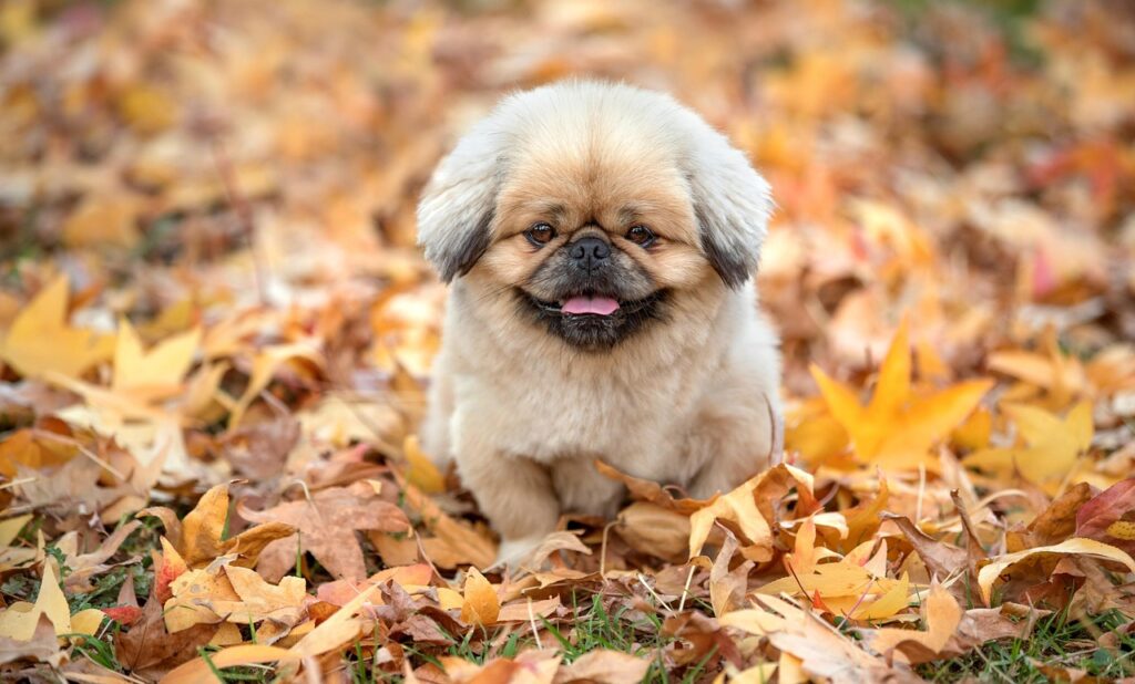 20代男性が実践すべき姿勢改善の方法とは？